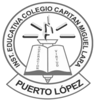 I.E. Capitán Miguel Lara